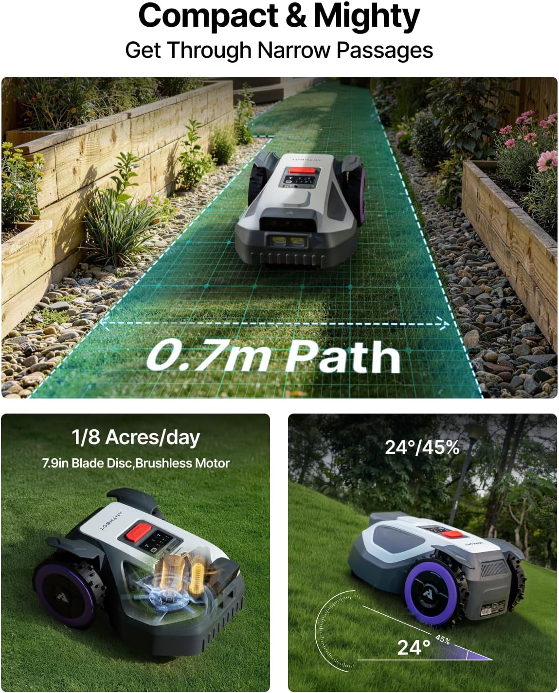 ANTHBOT product image